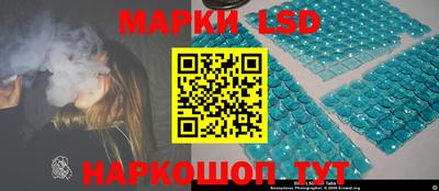 прущие грибы Краснокаменск