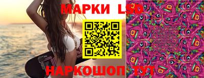 прущие грибы Краснокаменск