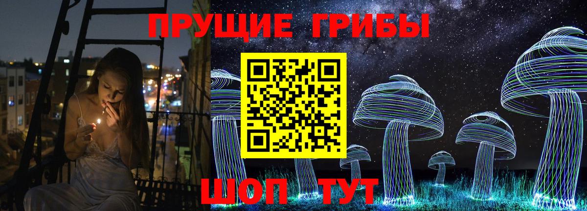 Галлюциногенные грибы Psilocybe Калуга